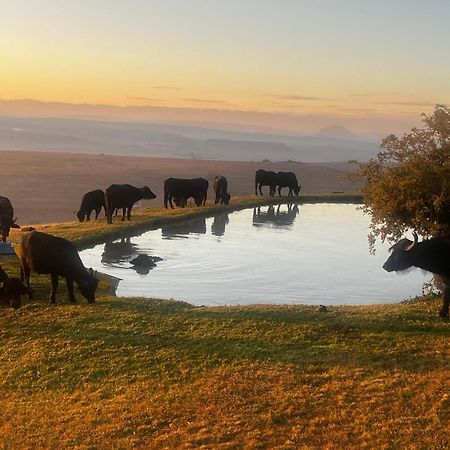 Uitzicht Private Nature Reserve And Lodge Fouriesburg Esterno foto