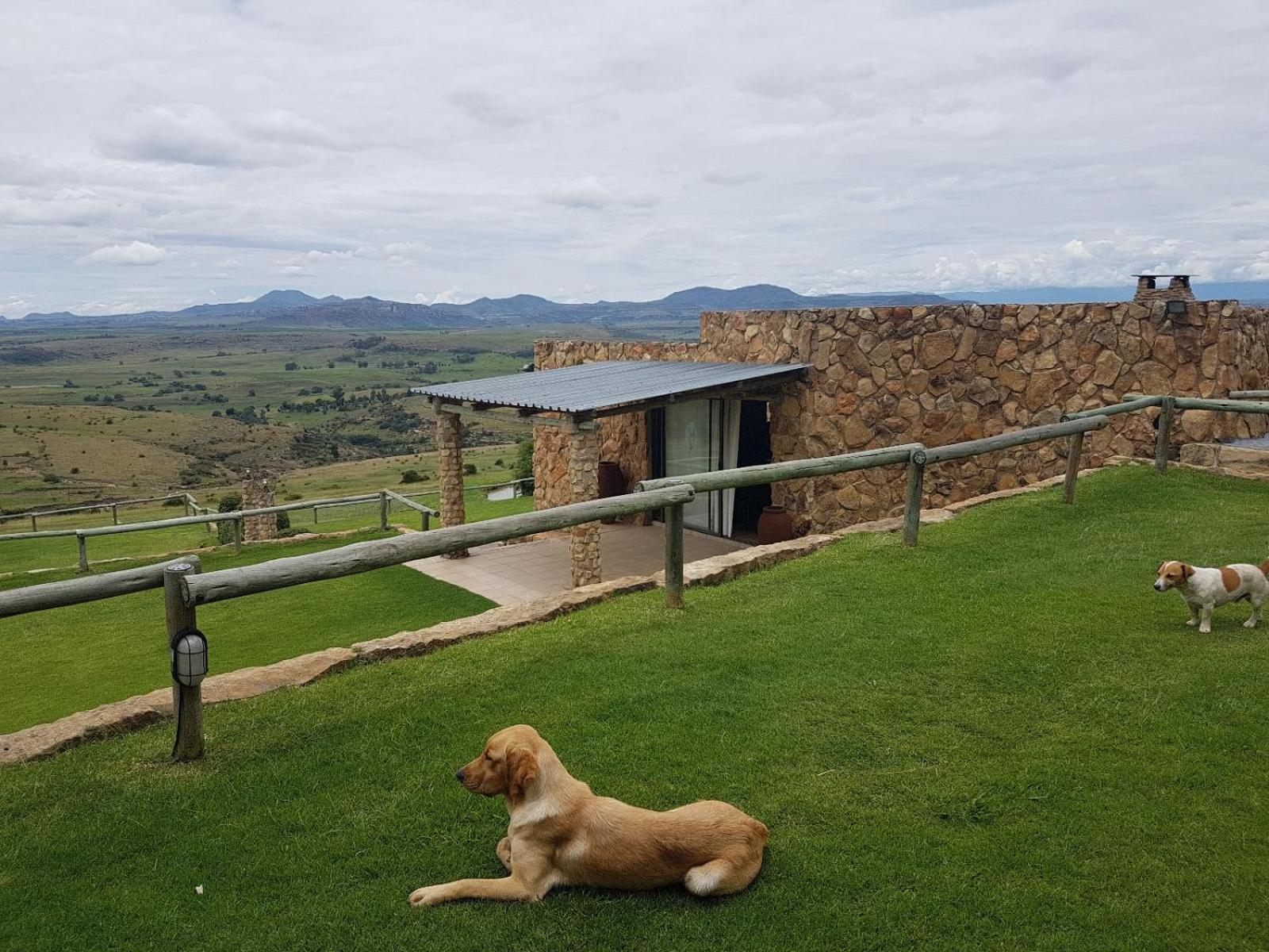 Uitzicht Private Nature Reserve And Lodge Fouriesburg Esterno foto